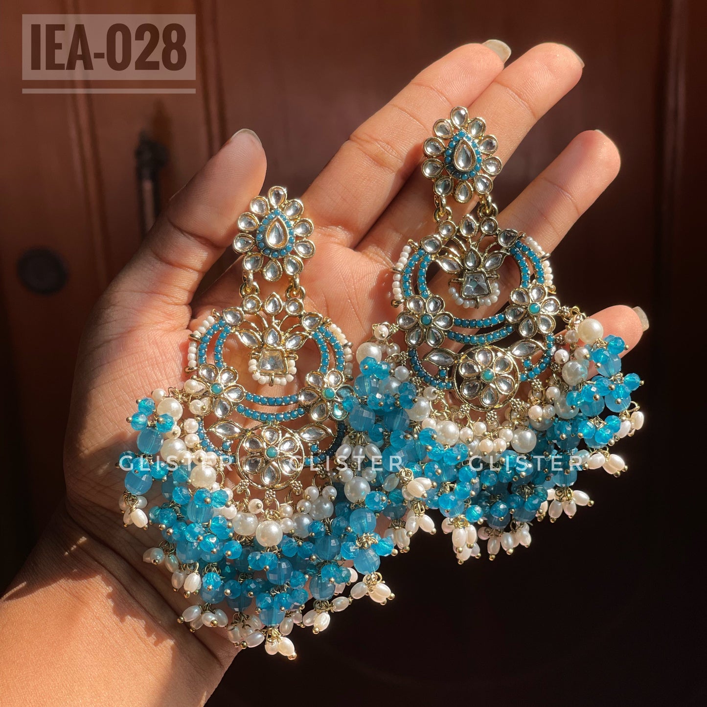 Pakistani Inspired Earrings ✨  IEA-028