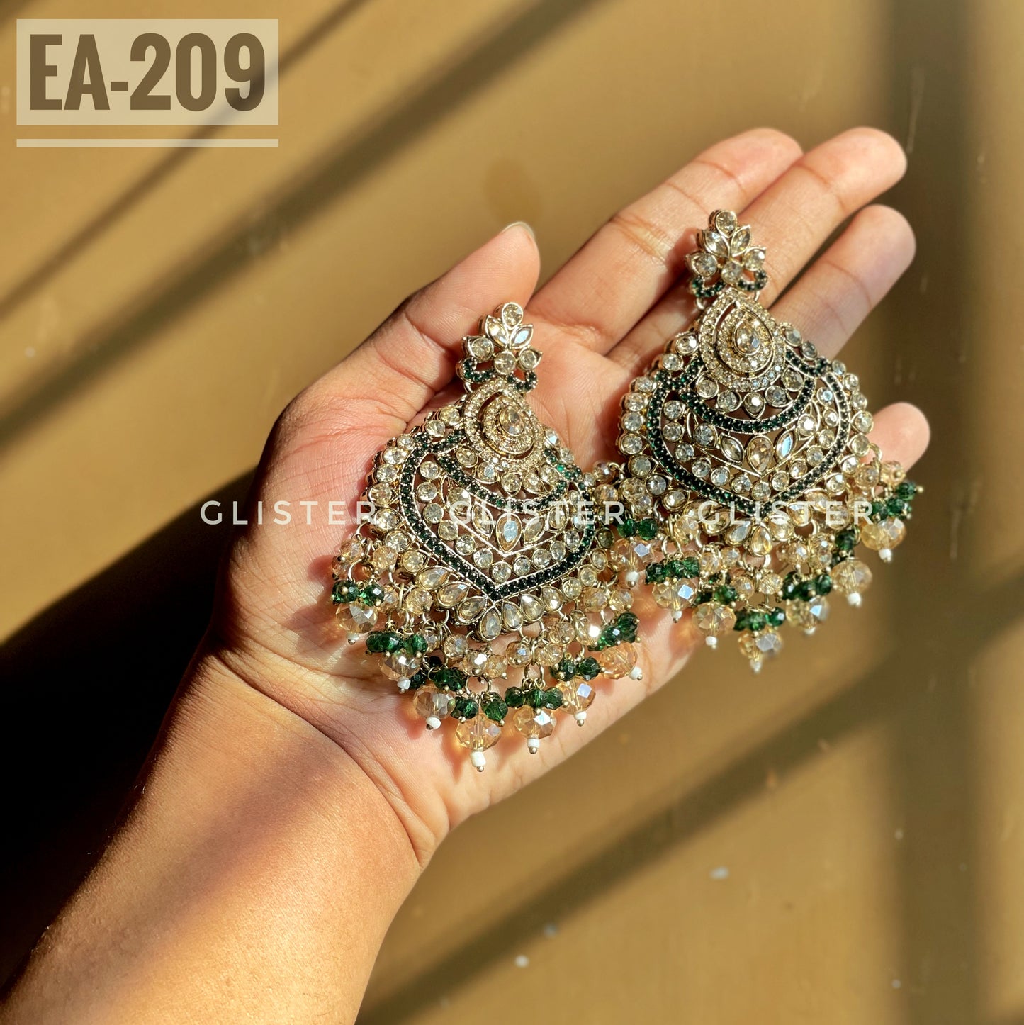 Earrings ✨ EA-209
