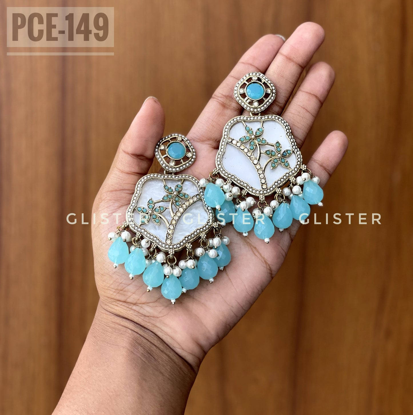 Pakistani Inspired Earrings Set ✨ PCE-149