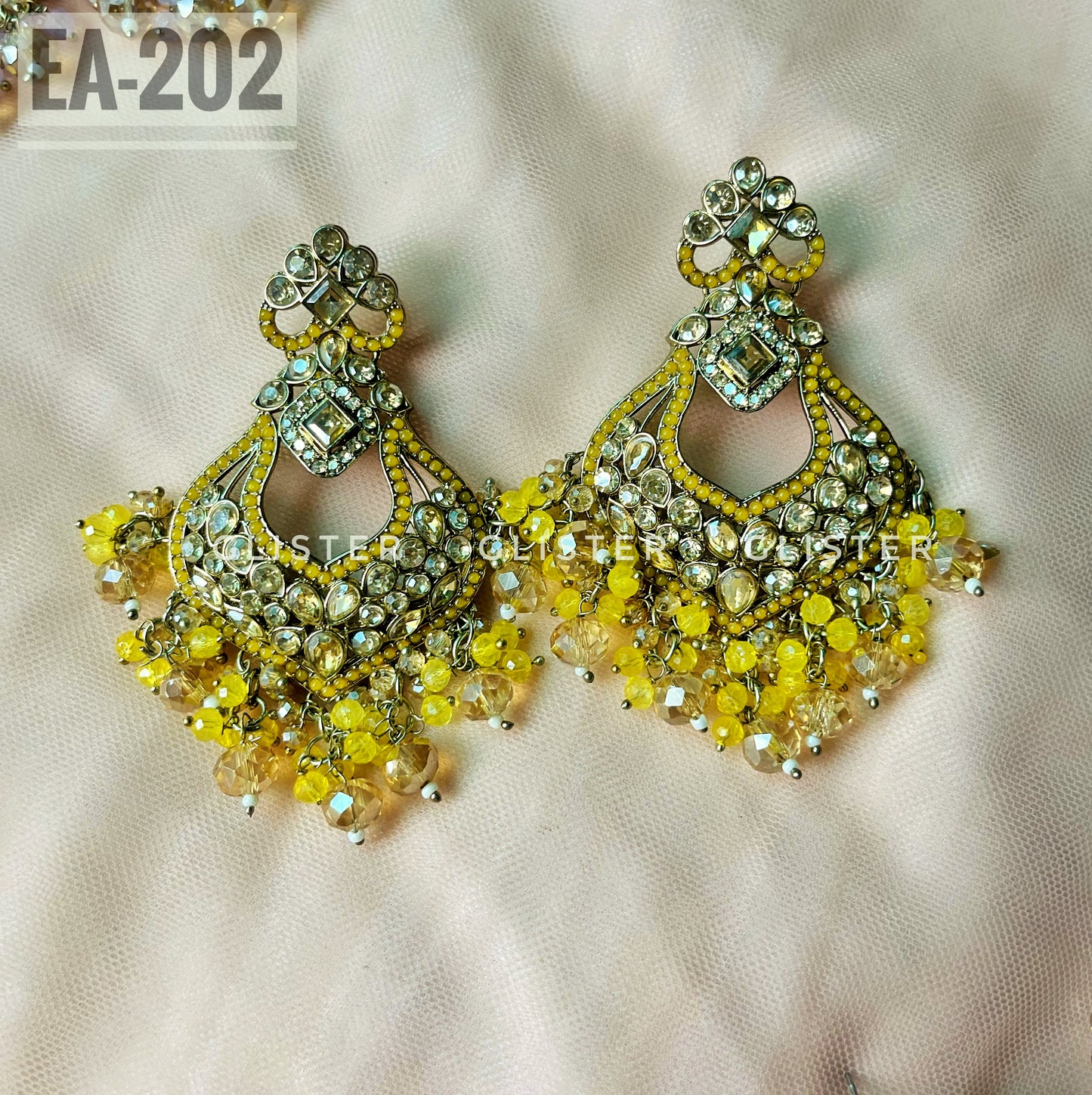 Earrings ✨ EA-202