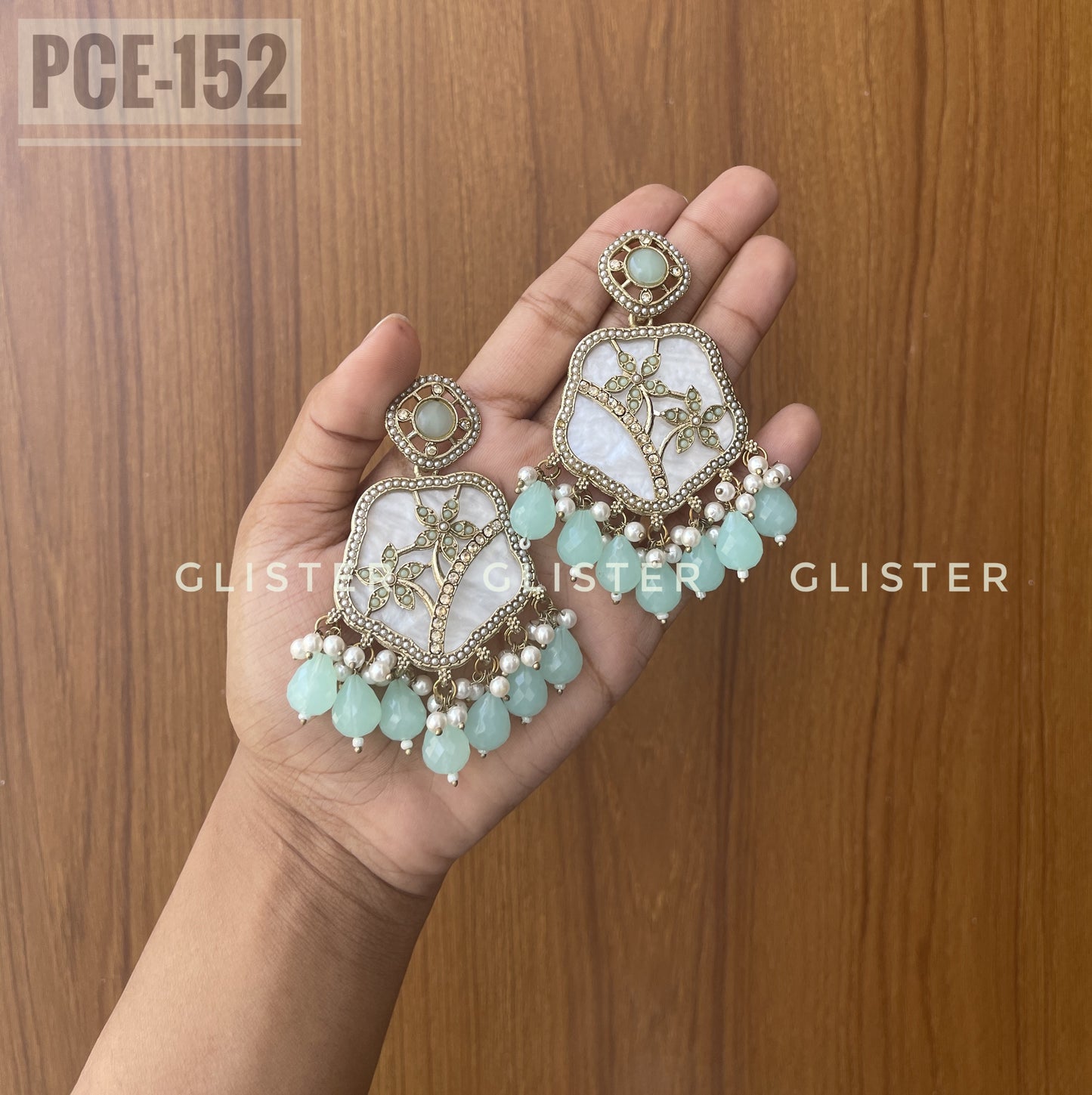 Pakistani Inspired Earrings Set ✨ PCE-152